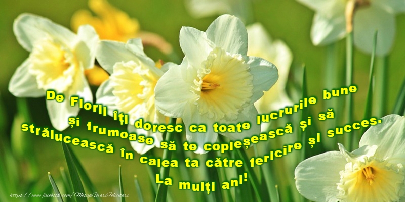 La Multi Ani de Florii!