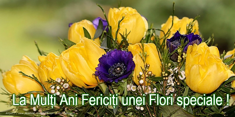 La Multi Ani de Florii!
