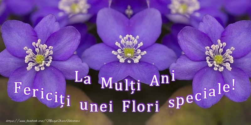 La Multi Ani de Florii!