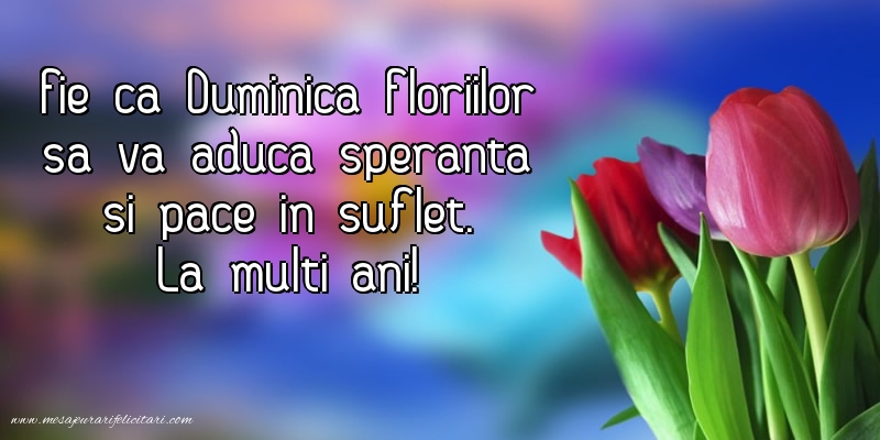 Fie ca Duminica Floriilor să vă aducă speranță și pace în suflet. La mulți ani!