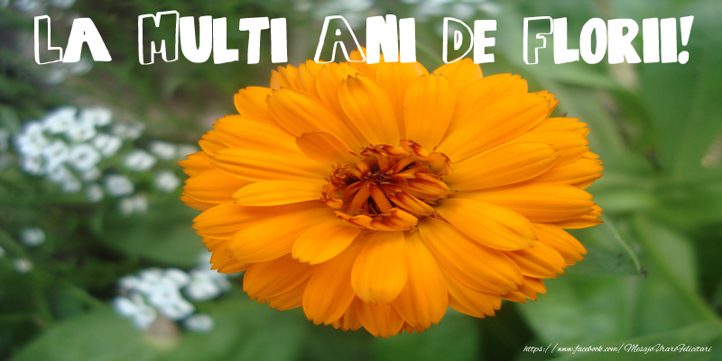 La Multi Ani De Florii!