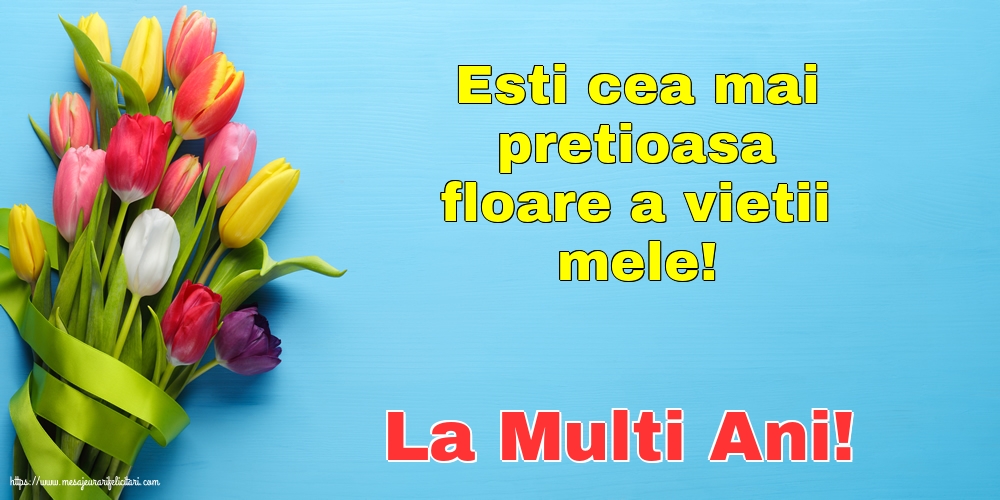 Felicitari de Florii - La Multi Ani! - mesajeurarifelicitari.com