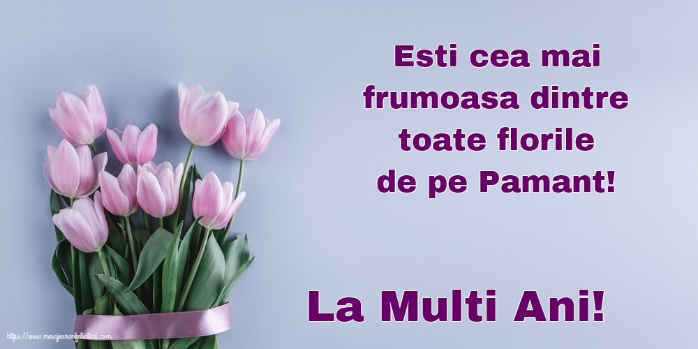 Florii La Multi Ani!