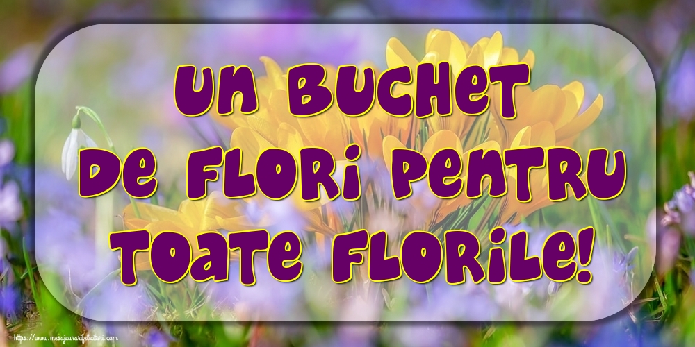 Un buchet de flori pentru toate florile!