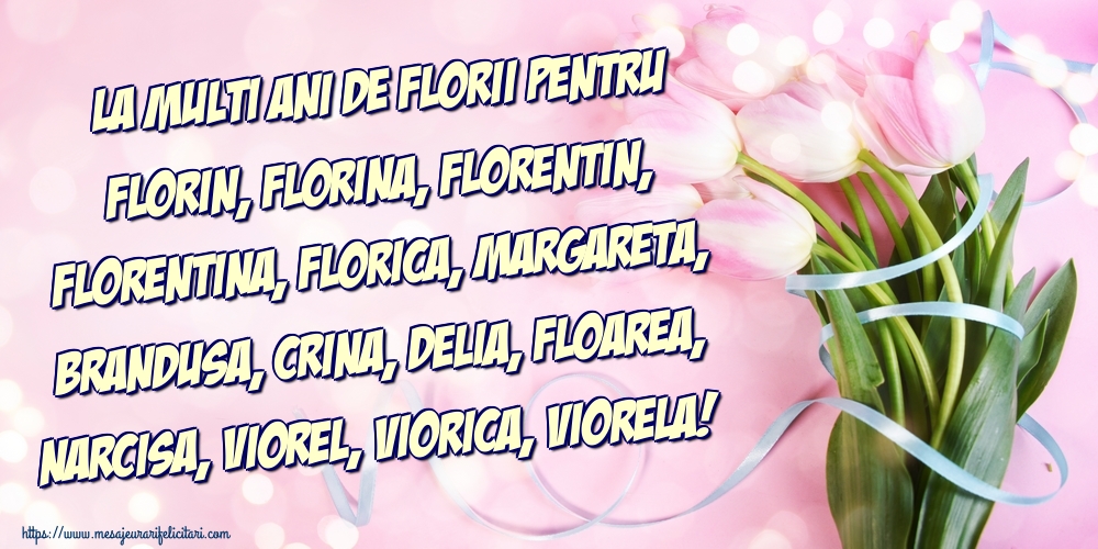 La multi ani de Florii pentru Florin, Florina, Florentin, Florentina, Florica, Margareta, Brandusa, Crina, Delia, Floarea, Narcisa, Viorel, Viorica, Viorela!