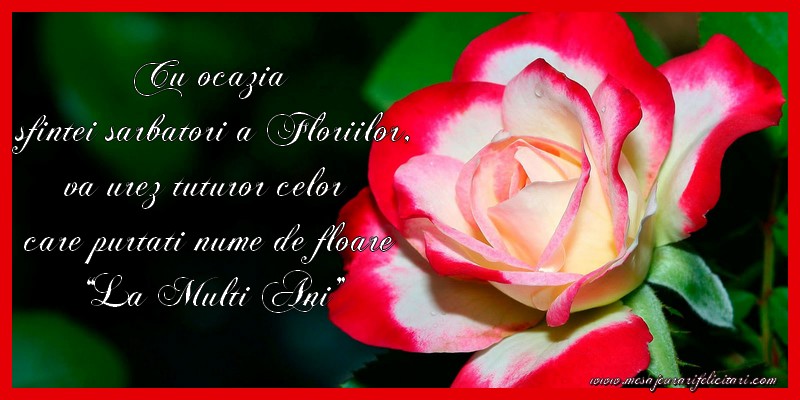 Cu ocazia  sfintei sarbatori a Floriilor, va urez tuturor celor  care purtati nume de floare  “La Multi Ani”