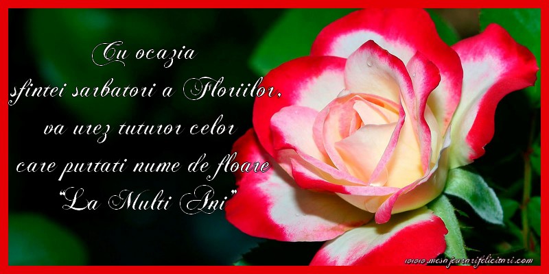 Cu ocazia  sfintei sarbatori a Floriilor, va urez tuturor celor  care purtati nume de floare  “La Multi Ani”