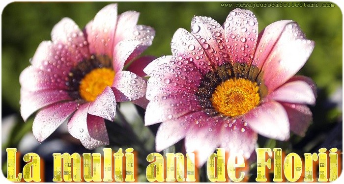 La multi ani de Florii