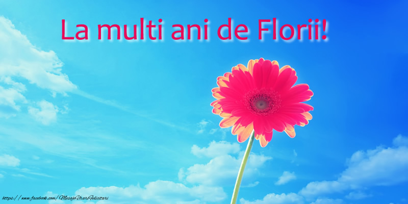 La Multi Ani de Florii!