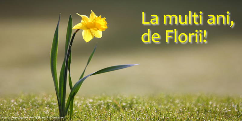 La multi ani, de Florii!