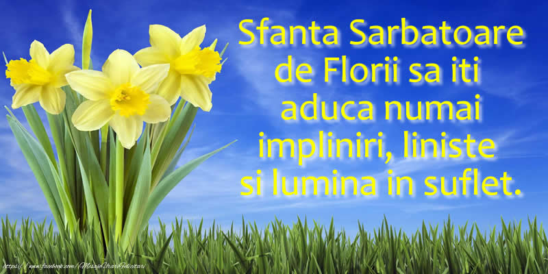 Sfanta Sarbatoare de Florii sa iti aduca numai impliniri, liniste si lumina in suflet.