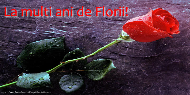 La Multi Ani de Florii!