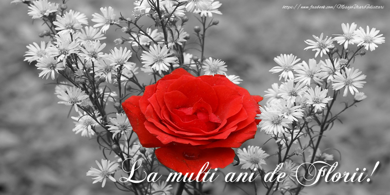 La multi ani de Florii!