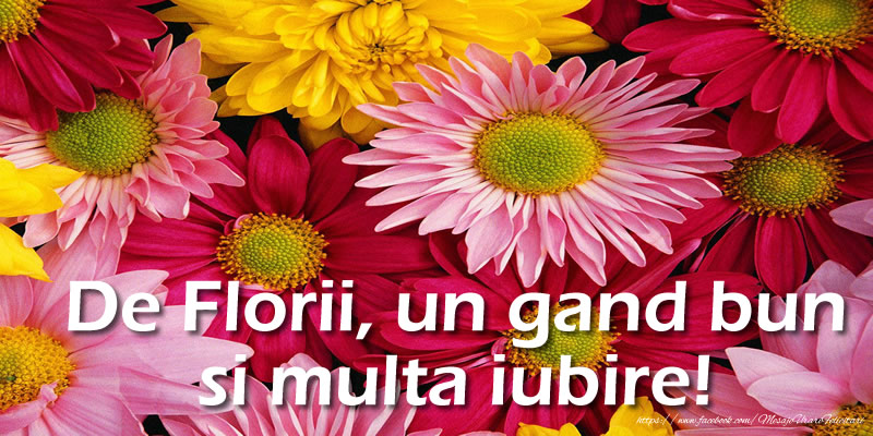 De Florii, un gand bun si multa iubire!