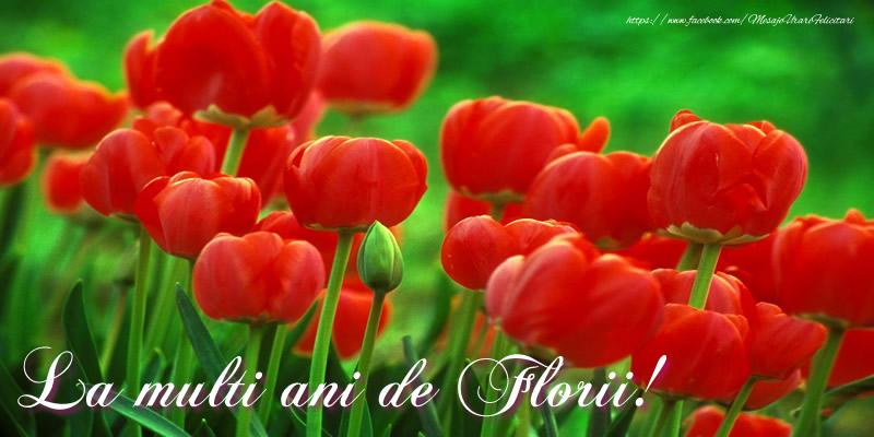 La Multi Ani de Florii!