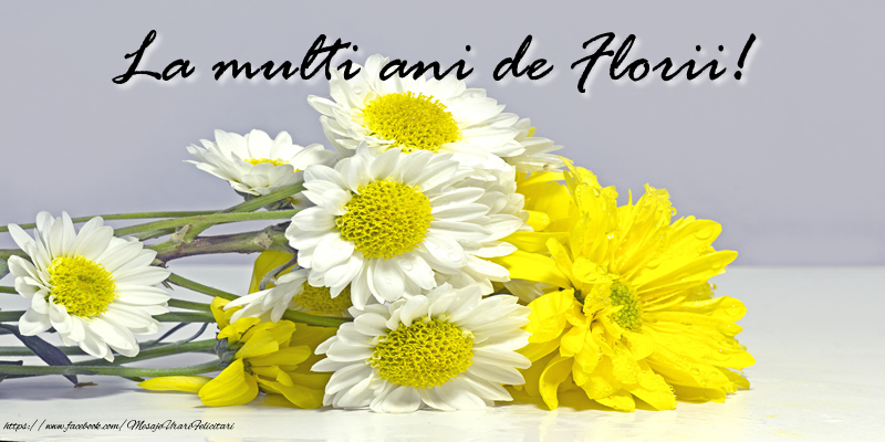 Felicitari de Florii - La Multi Ani de Florii! - mesajeurarifelicitari.com