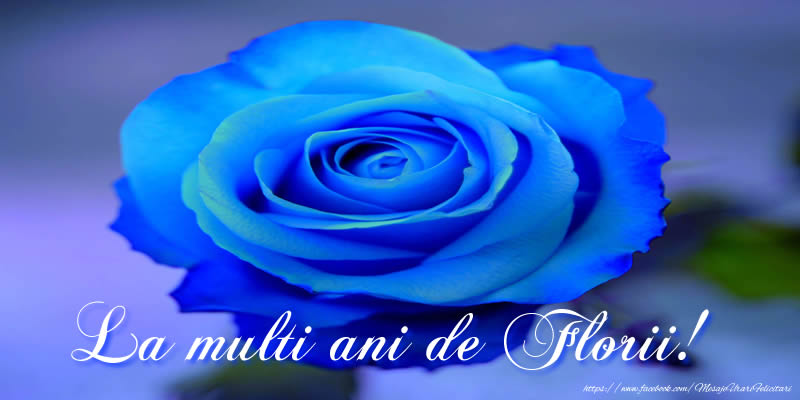 La Multi Ani de Florii!