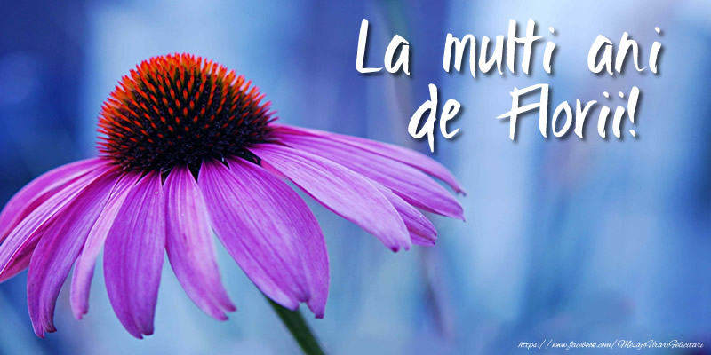 La multi ani de Florii!