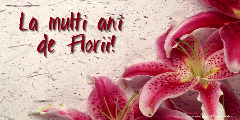 La Multi Ani de Florii!