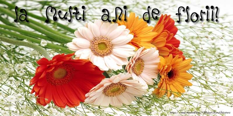 La multi ani de Florii!