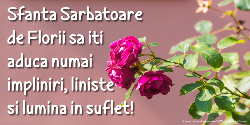 Sfanta Sarbatoare de Florii sa iti aduca numai impliniri, liniste si lumina in suflet.