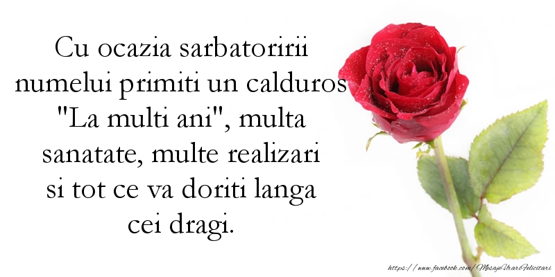 Florii Cu ocazia sarbatoririi numelui primiti un calduros