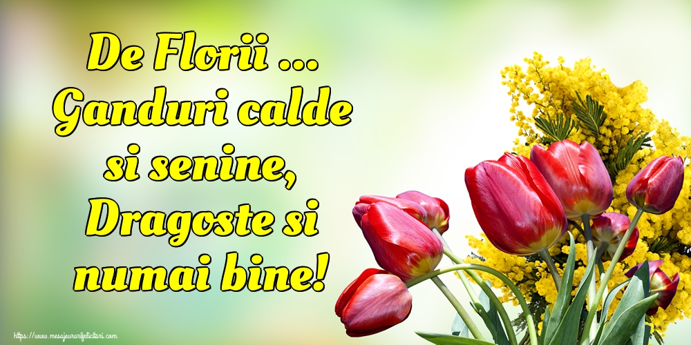 De Florii ... Ganduri calde si senine, Dragoste si numai bine!