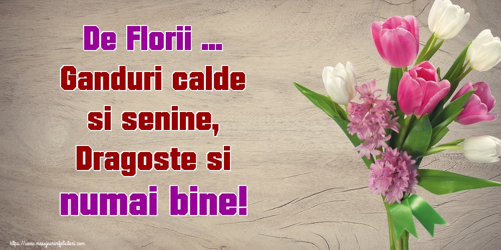 Felicitari de Florii - De Florii ... Ganduri calde si senine, Dragoste si numai bine! - mesajeurarifelicitari.com