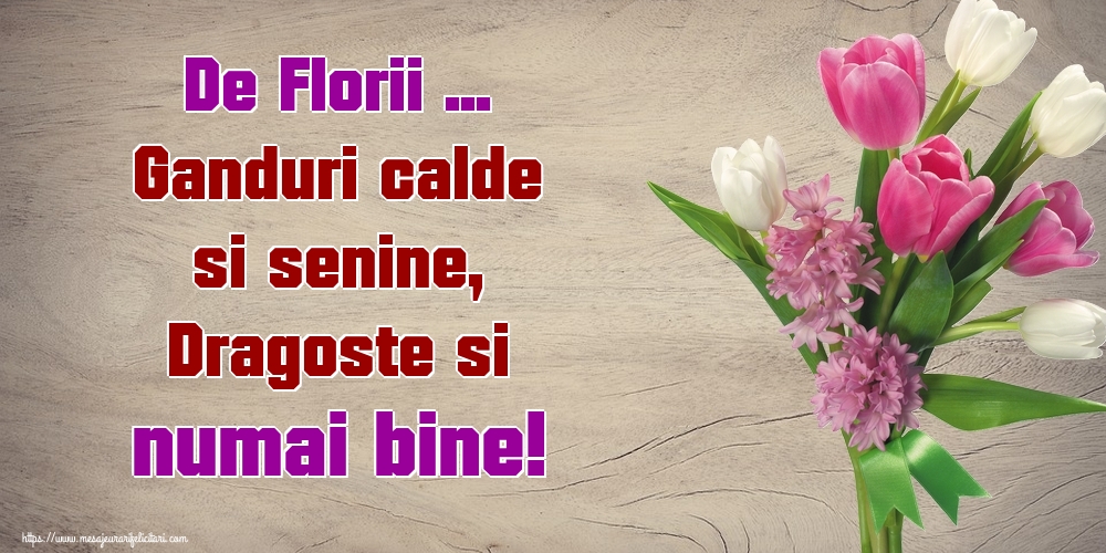 Felicitari de Florii - De Florii ... Ganduri calde si senine, Dragoste si numai bine! - mesajeurarifelicitari.com