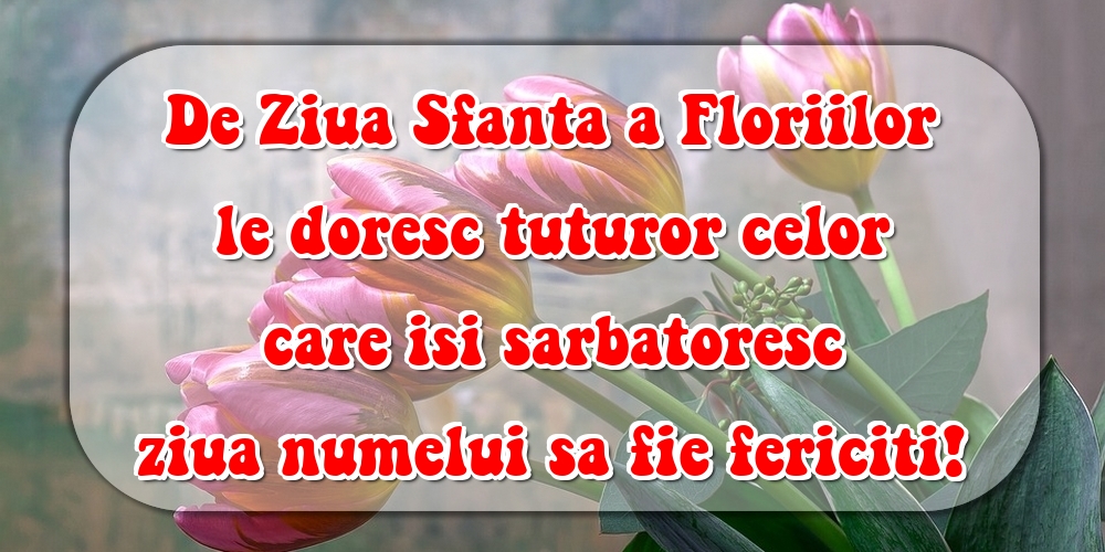 De Ziua Sfanta a Floriilor le doresc tuturor celor care isi sarbatoresc ziua numelui sa fie fericiti!