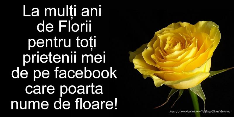 Felicitari de Florii - La multi ani de Florii pentru toti prietenii mei de pe facebook care poarta nume de floare! - mesajeurarifelicitari.com