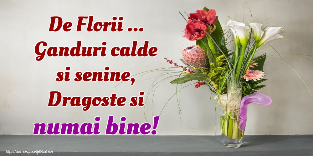 De Florii ... Ganduri calde si senine, Dragoste si numai bine!