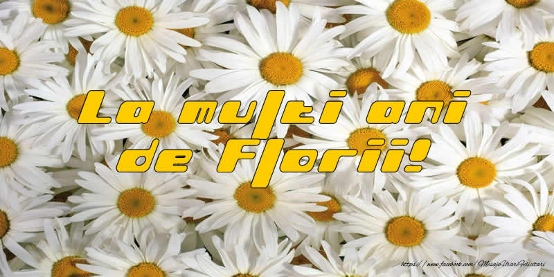 La Multi Ani de Florii!