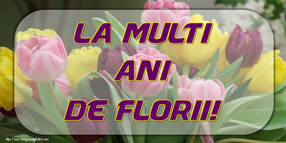La Multi Ani de Florii!