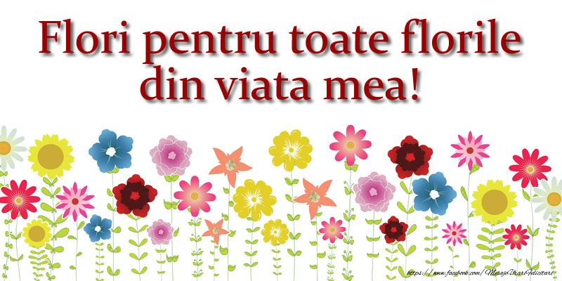 Flori pentru toate florile din viata mea!