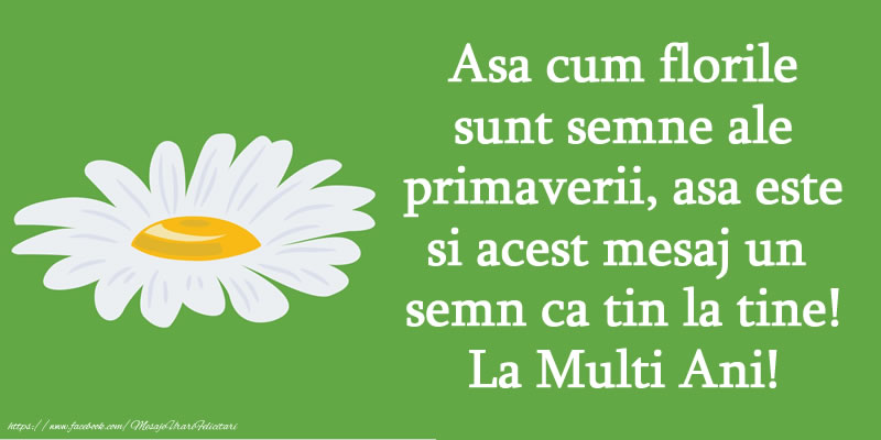 Asa cum florile sunt semne ale primaverii, asa este si acest mesaj un  semn ca tin la tine! La Multi Ani!