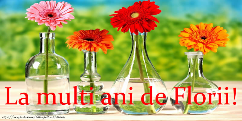 La multi ani de Florii!