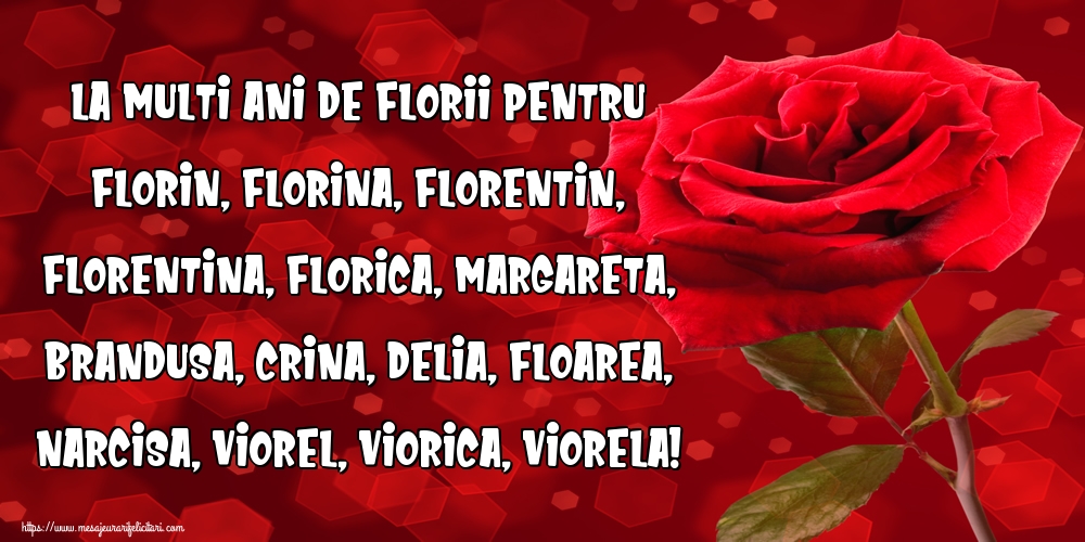 La multi ani de Florii pentru Florin, Florina, Florentin, Florentina, Florica, Margareta, Brandusa, Crina, Delia, Floarea, Narcisa, Viorel, Viorica, Viorela!