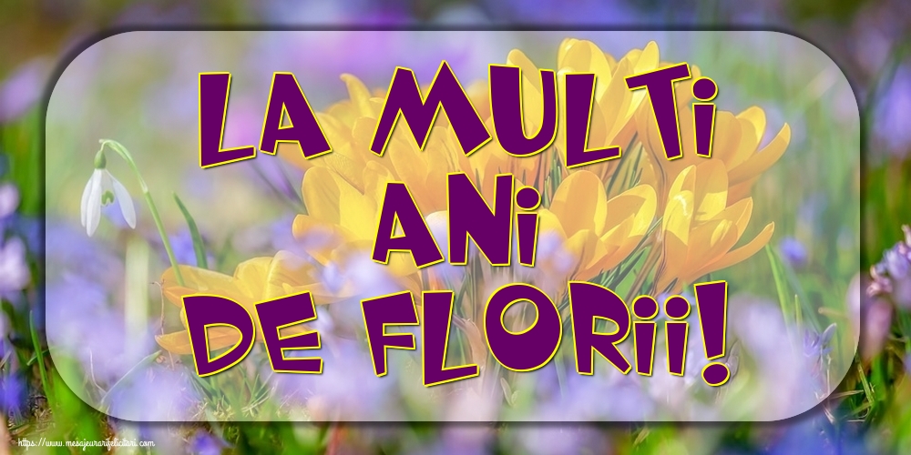 La Multi Ani de Florii!