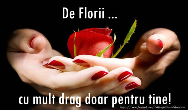 Felicitari de Florii - De Florii ... cu mult drag doar pentru tine! - mesajeurarifelicitari.com