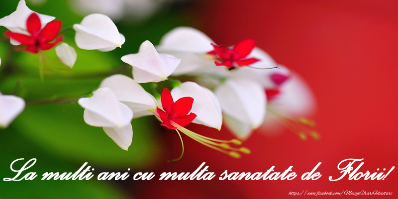 La multi ani cu multa sanatate de Florii!