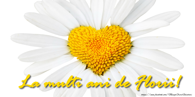 La multi ani de Florii!