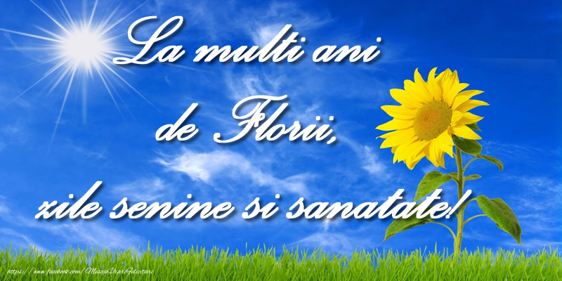 La multi ani de Florii, zile senine si sanatate!