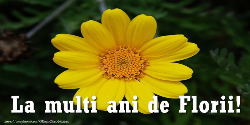 La multi ani de Florii!