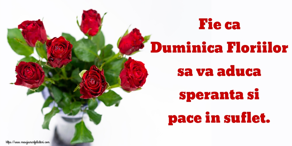 Fie ca Duminica Floriilor sa va aduca speranta si pace in suflet.