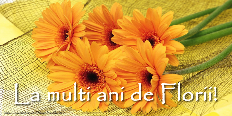La multi ani de Florii!