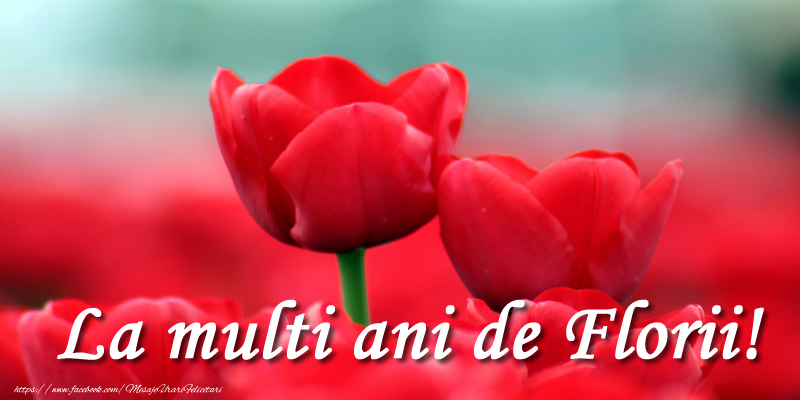 La multi ani de Florii!