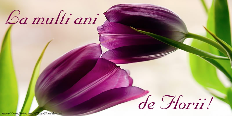 La multi ani ... de Florii!