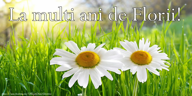 La multi ani de Florii!