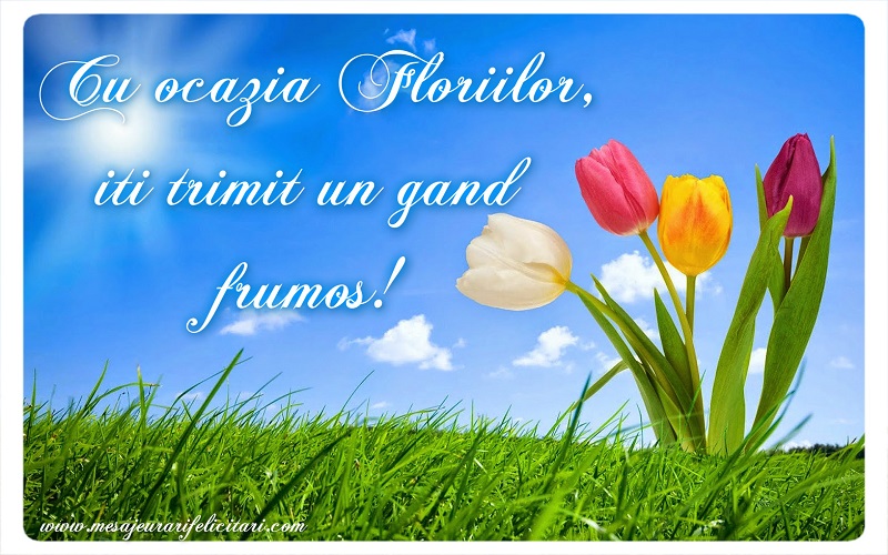 Cu ocazia Floriilor, iti trimit un gand frumos!